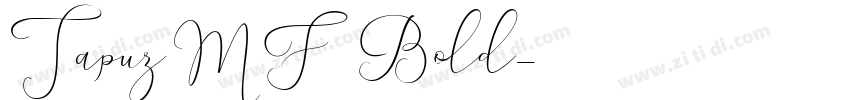 TapuzMF Bold字体转换
